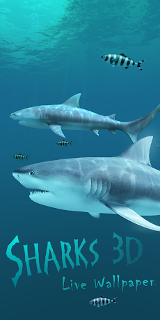 Sharks 3D - Live Wallpaperのおすすめ画像1