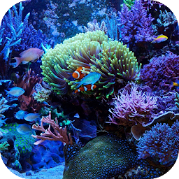 Gambar ikon Marine Aquarium Live Wallpaper