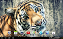 screenshot of Tiger Live Wallpaper