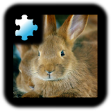 Jigsaw Puzzle: Rabbit icon