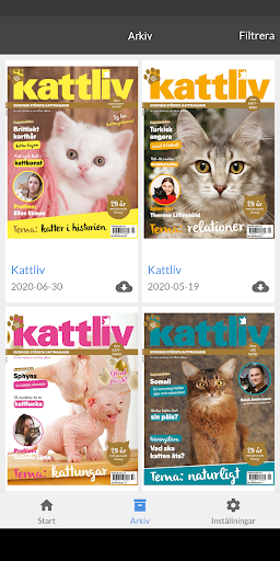 Kattliv Screen 2