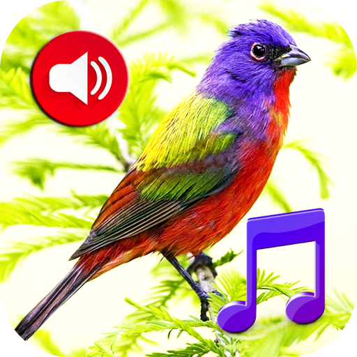 Birds Sounds Tones & Wallpaper