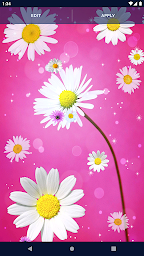 3D Daisy Spring Live Wallpaper