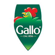 Guida Gallo  Icon