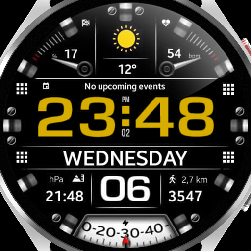 WFP 233 Spectacular Watch Face