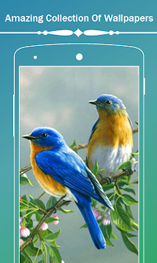 Birds HD Wallpapersのおすすめ画像1