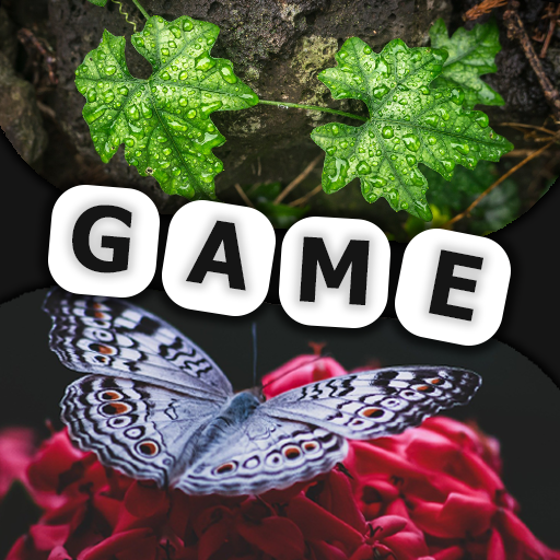 Get KZ Logic - Turn on your logic for Android Aso Report