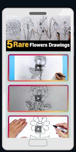 Learn Drawing Video