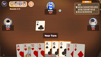 Game screenshot Callbreak Offline : Tash Game mod apk