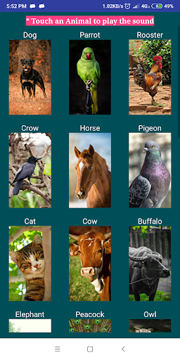 Animal Sounds for Kids Screenshot