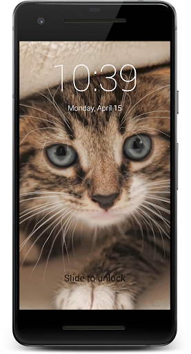 Cute Kittens HD Lock Screen