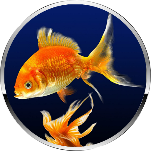 Cuidado de los peces