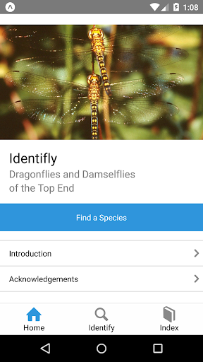 Android application Identifly screenshort
