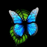 3D blue Butterfly 2 icon