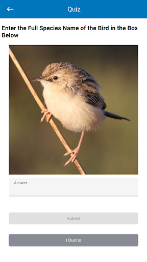 MiBird Screen 3
