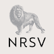 NRSV: Audio Bible for Everyone