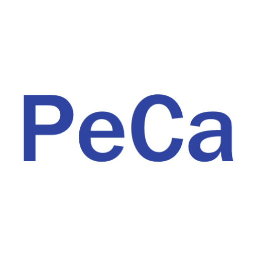 PecaPlay  Icon