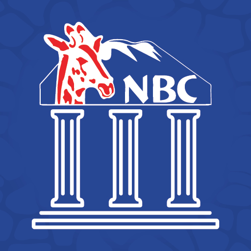 NBC InstaBank Download on Windows