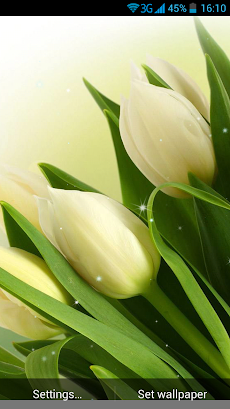 White Flowers Live Wallpaper Androidアプリ Applion