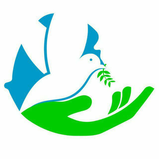 Tikvah News logo