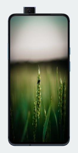 Nature Wallpaper 4k-HD Screen 3