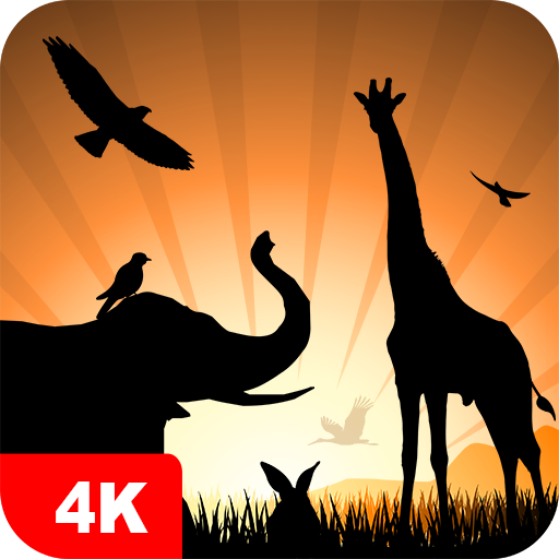 Animal Wallpapers 4K - Apps on Google Play