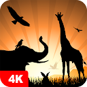 Hintergrundbilder mit Tier 4K