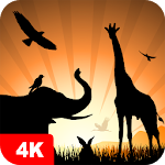 Animal Wallpapers 4K Apk