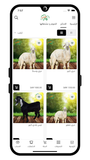 اغنام البادية Screen 2