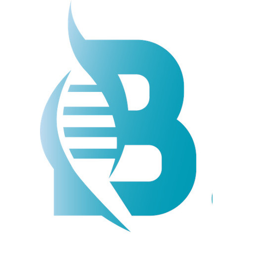 BELD 5.0 logo