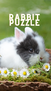 My Rabbit Puzzle