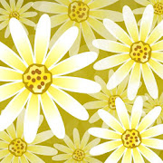  Daisy Flower Live Wallpaper 