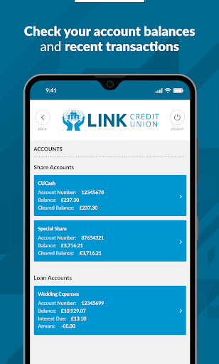 Link Credit Union Screen 2
