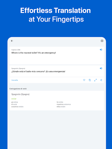 Screenshot of iTranslate Translator