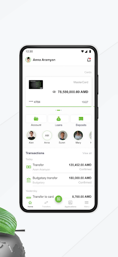 Ameria Mobile Screen 2