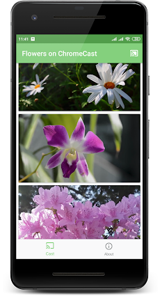 Flowers  on Chromecastのおすすめ画像5