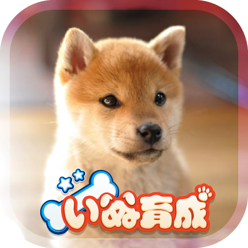 Shibainu Simulation Game 3D  Icon