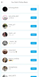 UnFollowers IG&Ins -IGAnalyzer