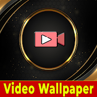 Video wallpaper live
