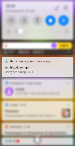 Rumbl media downloader Screenshot 3 - AppWisp.com