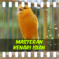 Masteran Kenari Isian
