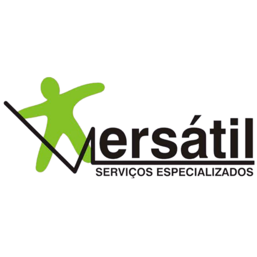 VSE logo