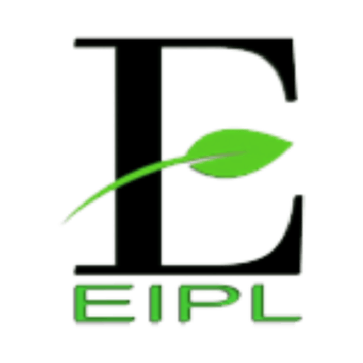 Everrise Infosolution logo