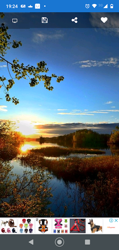 Nature Wallpapers Full Hd and 4K