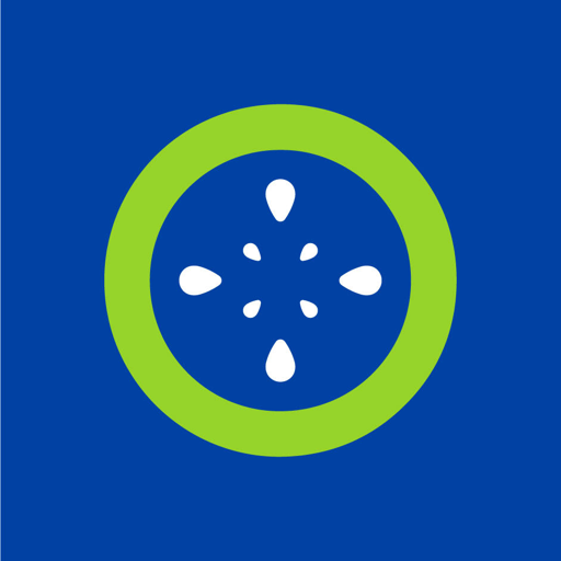 Kiwi Natural logo