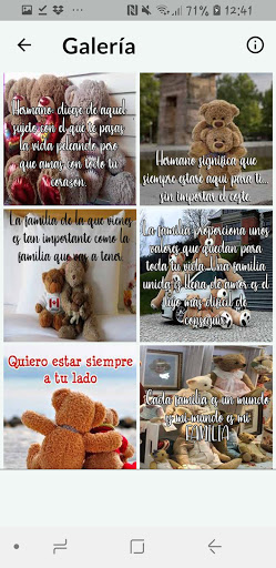 FRASES FAMILIA OSOS TIERNOS Screen 3