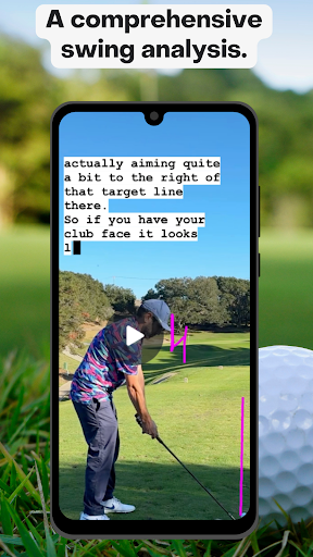 Screenshot of Swingtweaks