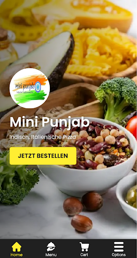 Android application Mini Punjab screenshort