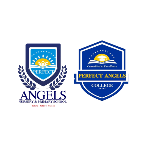 Perfect Angels Schools logo