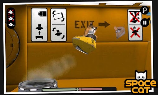 SpaceCat (3D) For PC installation